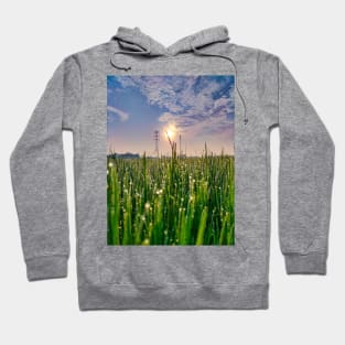 Sunrise And Morning Dew Hoodie